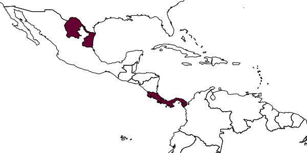 map of Ophion arribai     Gauld, 1988
